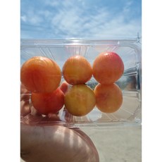 고당도 국산 햇자두 중과 산지직송, 300g * 5팩, 1개