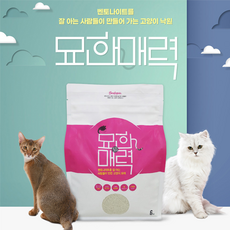 묘한매력