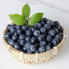 생 블루베리 310g x6팩 (1.8kg) 수입산, 6개