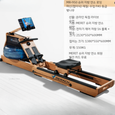 로잉머신 접이식 장비 스마트 노젓기 조정 로윙 실내 전신 운동 홈트 스트레칭 근력 원목