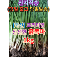 [본고장 산지직송] 국산 흙쪽파 1kg (+퀵배송 기증) BEST PICK 싱싱한 당일수확 푸르름을 전하는 빠른배송 쪽파 흙쪽파1단 파 잔파 실파 기장쪽파 파김치재료, 1개