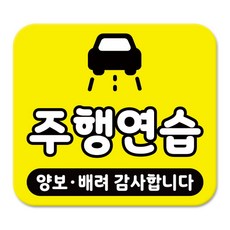 라쿤마켓 차량용 스티커 총27종 초보운전 아이가 타고 있어요 임산부가 타고있어요 강아지가 타고있어요 어르신운전중 혈액형 장애인 도로주행 연수용 탈부착 반사 자석, 1개, 03_주행연습