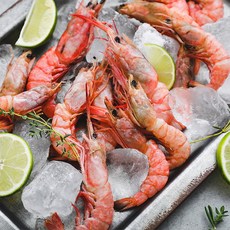 [자연맛남] [산지직송] 여수 달마새우 횟감용 급냉 90-120마리(1.5kg내외), 1개