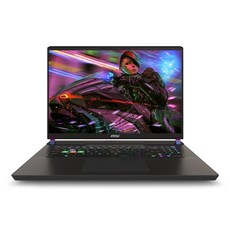 MSI 벡터 17 HX A14VGG-i9 QHD 인텔i9 RTX4070, Free DOS, 32GB, 1TB, 그레이