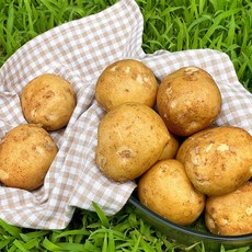 수미감자5kg-추천-상품