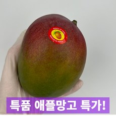 일등농수산 프리미엄 특품 애플망고, 1개, 3개입 1.2kg내외
