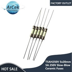 슬로우 블로우 세라믹 퓨즈 세라믹 튜브 시간 지연 퓨즈 T5AH250V 5x20mm 5A 250 V 5 amp 250 볼트 0 2x0 78 인치 5 개, T16AH250V