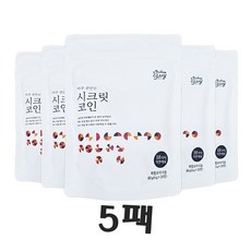 빅마마 빅마마 시크릿코인 100알 (편안한 5팩), 80g, 5개