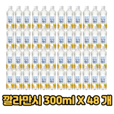 토닉워터레몬