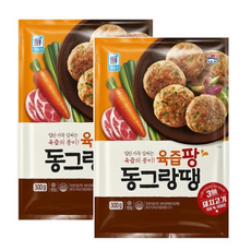 대림 육즙팡 동그랑땡 300g x2, 300g x 2 (한묶음), 600g, 6개