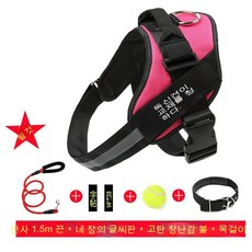 반려동물스노우볼