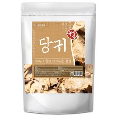 건강중심 국산 당귀 말린 참당귀, 1개, 300g