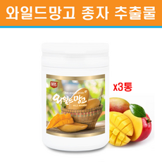 착한호르몬아디포넥틴으로건강장수하는법
