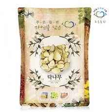 닥나무뿌리