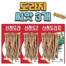 도라지씨앗 TOP01