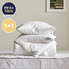 바운티풀구스1+1
