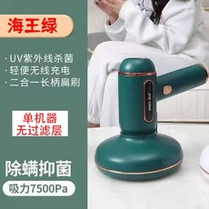 퀸레이블스팀청소기