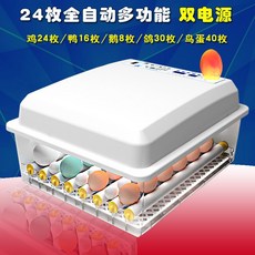 e8f0574f0b375a0ecc975c1063c31c4cb9d56f251e321c4dc12ca5640578.jpg
