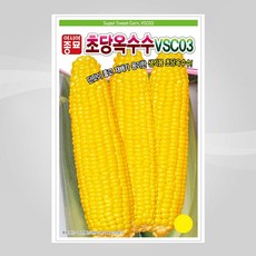 d2ba93edfa11a9d3c05fc5d7a496da2ea9e23f7976dd83de503c2796dcca.jpg