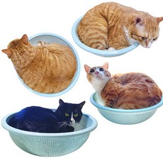 부투펫 다이소 고양이 소쿠리 채반 숨숨집 여름용 여름집 원형 대형 바구니, 컬러랜덤