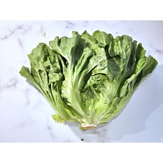 예슬이네농장 국내산 싱싱한 양상추 600g~ 800g, 3개, 600g