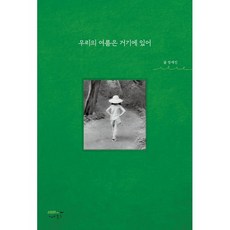 우리의 여름은 거기에 있어, 정세진 저, 개미북스