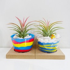 이오택