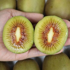 제주 레드키위 2.5kg (소 중 대 특) 홍키위 홍다래 빨간키위 산지발송 햇 레드키위, 레드키위 소과 2.5k 40과내외, 1박스