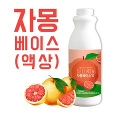 쉘몬 과일 농축액 액상타입 베이스 자몽 1kg 시럽 원액 에이드, 1개