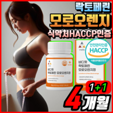 모로실 다이어트 식약청인정 여에스더 모르실 / 바디 핏 모로 오렌지 C3G HACCP 식약청 인정 인증 이탈리아 모로 오렌지 농축 분말 가루 추출 정 락토페린 [옵션확인]사은품증