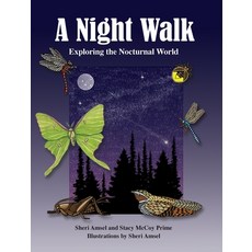 (영문도서) A Night Walk: Exploring the Nocturnal World Hardcover, Am Ink Publishing, English, 9781943201648