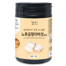 노루궁뎅이버섯