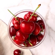 생체리-추천-상품