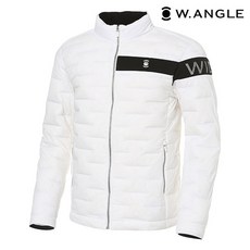 와이드앵글스윙다운