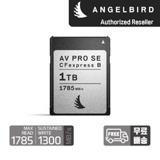엔젤버드 AV PRO CFexpress Type B SE 1 TB, 1개