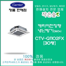 캐리어 천장형냉난방기 30평 CTV-Q1102FXB/vat별도