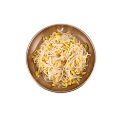숙주200g