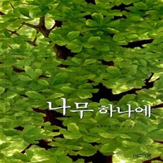 가시나무새책