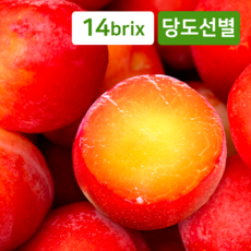 당도자신감 달콤쫀득 후무사 추희 자두, 1개, 2kg