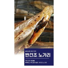 [여수물산] 촉촉한 반건조 노가리 800g (아이스박스+팩 포함), 1개