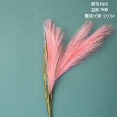 ceeee4626377e814dad247a254d49c155299a1c6c4cd5ea8c8a4bce68e8a.jpg