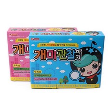 팬시로비개미관찰하기