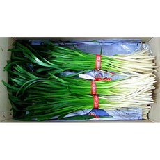 호부추 중국부추 1단(400g내외) 30개 이강산닷컴, 400g