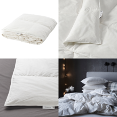 알레르망카르니