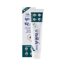 부광약품 치약 부광탁스 120g x 30개(한박스), 30개