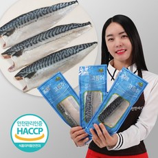 노르웨이산고등어