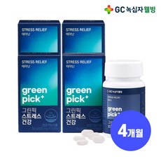 스트레스건강웰빙