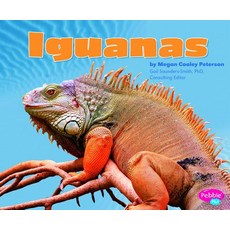 Iguanas Library Binding, Capstone Press