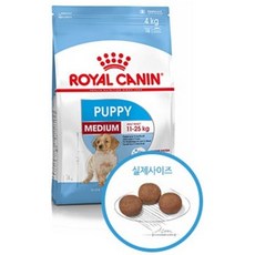 로얄캐닌미디엄퍼피