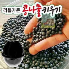 리틀가든콩나물